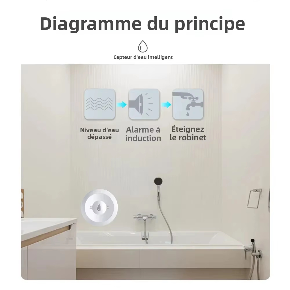 Sensor de Agua Zigbee, Detecto - Kitchen Appliances Video reseña y precio