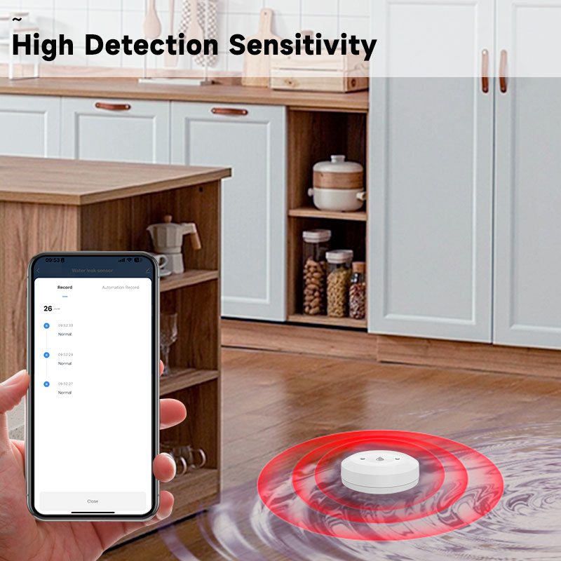 Sensor Inteligente de Fugas de - Kitchen Appliances Video reseña y precio