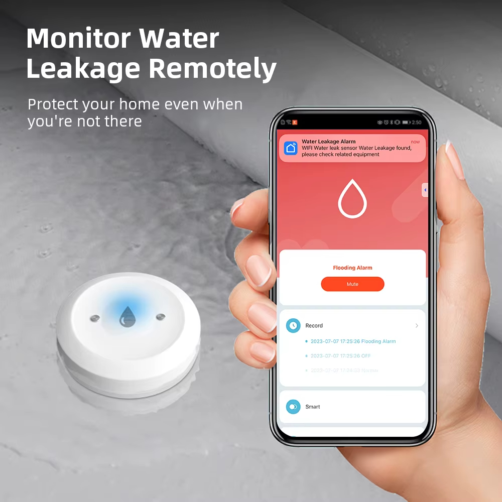 Sensor Inteligente de Fugas de - Kitchen Appliances Video reseña y precio