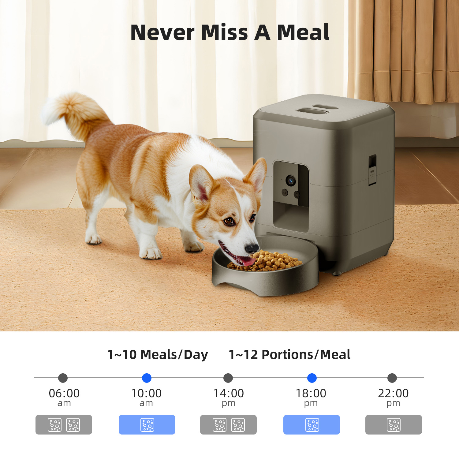 Comedero automático para masco - Kitchen Appliances Video reseña y precio